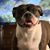 T Nelson Bright's profile image