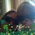 Denise Shoop's profile image
