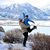 Alex LaVallee's profile image