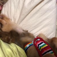 Lisa Jedlicka Knight's profile image