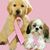 Norma Burak-Friel's profile image