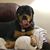 Gina Genardi Jones's profile image