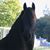 Saskia Donks's profile image