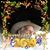 Andrew Jacobs's profile image
