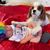 Marjorie Jean Geraci's profile image