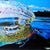 Chris Daugherty's profile image