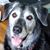 Stephen D. Covello's profile image