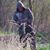 Franco Javier's profile image