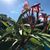 Jo Hudson Reinartz's profile image
