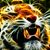 Trey Pfeiffer's profile image