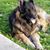 Jeanine Anglin-Bennett's profile image