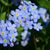 Linda Bird Pierson's profile image