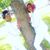 Antranet Jackson's profile image