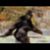 Kevin Vincent's profile image
