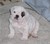 Claudia B.'s profile image