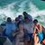 Lexi Cogswell's profile image