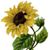 Brenda Kay Jenkins-Roland's profile image