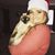 Katie Saters's profile image
