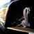 Chris L. Horton's profile image