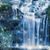 Donna Maglio Gutierrez's profile image