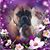 Vicki Cameron's profile image