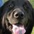 Jeannine LePage's profile image