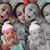 Shanon Vanoskey's profile image