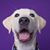 Debbie Sloan's profile image
