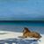 Catherine Braun Forman's profile image