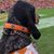 Connie Roop Roehl's profile image