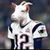 Kory Radley's profile image