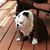 MB Kendall's profile image
