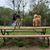 Mary Ann Frisby's profile image