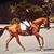 Venessa Huskic's profile image