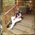 Jan Gordon Bookwalter's profile image