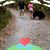 Lisa Starr's profile image