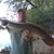 Gary D Jones's profile image