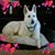 Judy Tennant's profile image