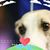 Janet Coy's profile image