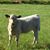 Mark Cooper's profile image