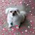 Joanie Leeney Bauer's profile image
