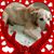 Cathy Ziegler's profile image