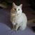 Twila Heslet's profile image