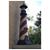 Paula Cole's profile image