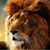 Leo Leal's profile image