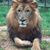 Alisha Ruhlman Jacobs's profile image