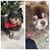 Amy Henderson-Florian's profile image