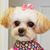 Susan Hamner-Drury's profile image