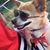 Vikky Pitts-Mullin's profile image