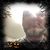 Wade King Silvia's profile image
